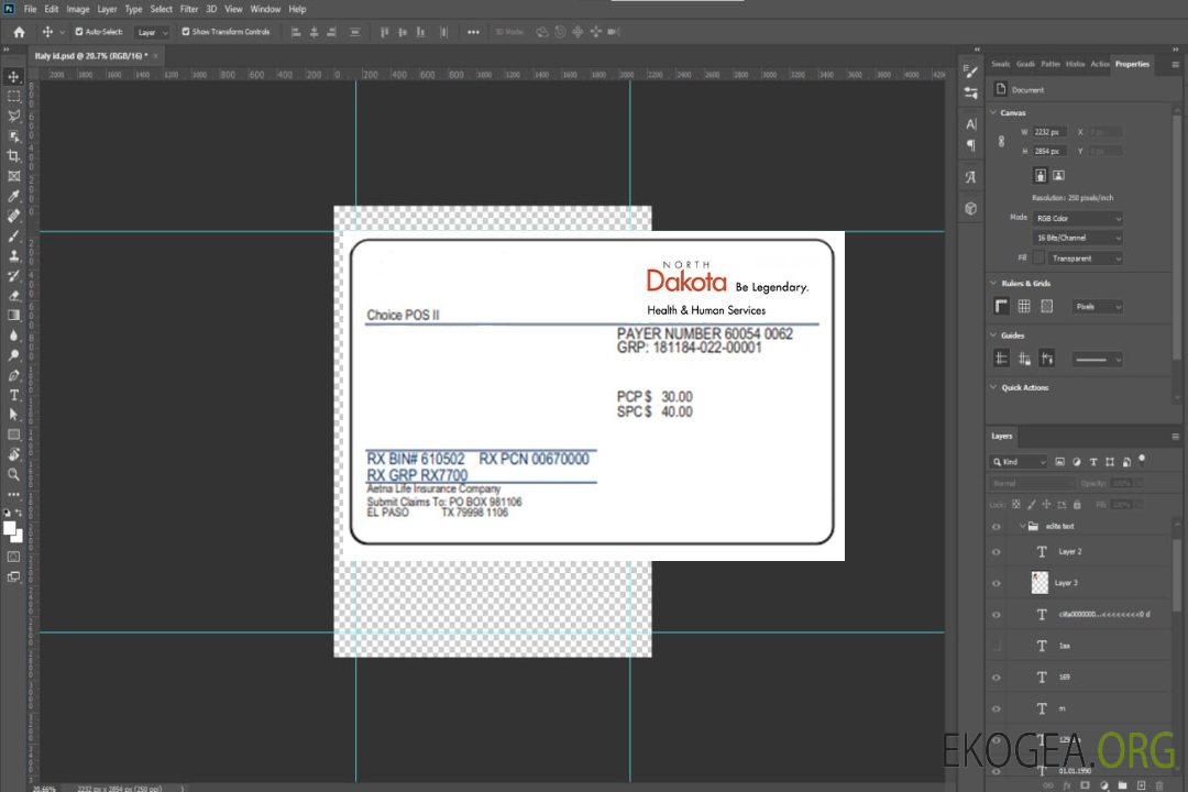 Carte d'assurance maladie du Dakota du Nord template
